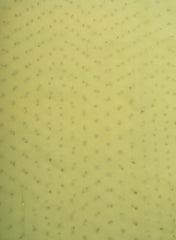Pure Organza Bright Green Color Floral Sequins Embroidery Fabric.