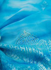Pure Georgette Sky Blue Color Tie And Dye Zari Embroidery Big Panna Fabric.