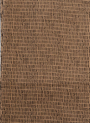 Cotton Flex Mix & Match Fabric in Beige & Black with Floral Buta and Linear Discharge Print Design